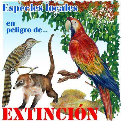 animales y plantas en peligro de extincion